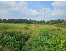 Dijual Tanah di Panongan Legalitas SHGB - Tangerang 