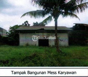 Dijual Tanah di Cikupa Legalitas SHM - Tanggerang