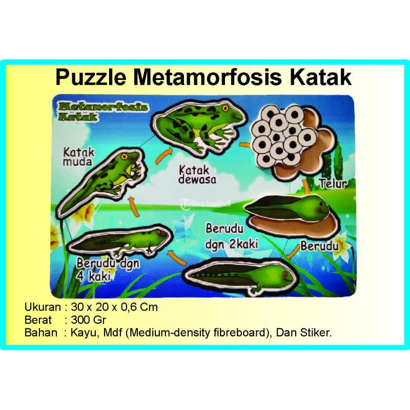 Pabrik Puzzle Terlengkap - Jakarta Timur