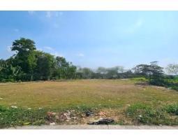 Jual Tanah 4.263 m2 Desa Karangmulya Telukjambe Barat Karawang Barat - Karawang 