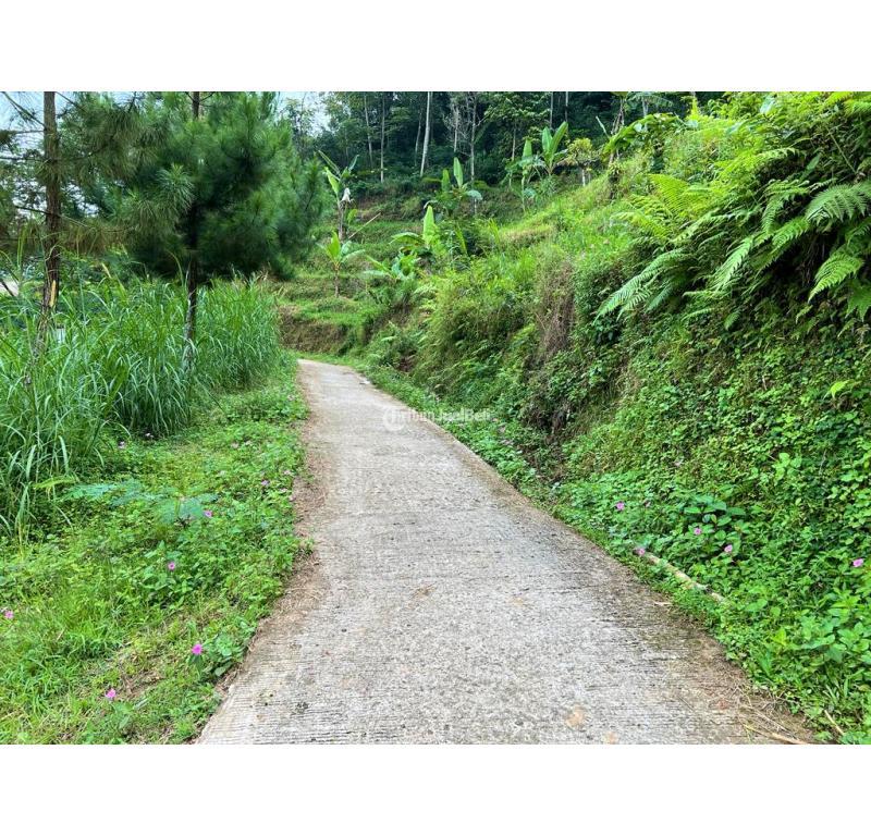 Dijual Tanah Luas 748m2 Dekat Wisata Jembatan Kaca Kemuning - Karanganyar