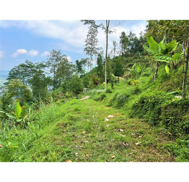 Dijual Tanah Luas 748m2 Dekat Wisata Jembatan Kaca Kemuning - Karanganyar