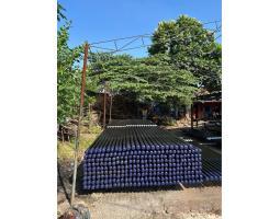 Tiang Fiber Optik Tiang Fo Untuk Internet Bisa Kirim Seluruh Indonesia - Bekasi Kota