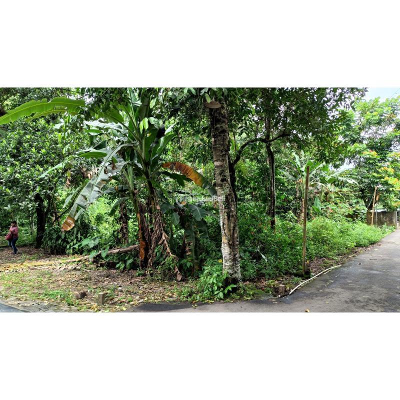 Jual Rumah Masa Tua Serasa Vila Free Gazebo Tipe 65 Dekat Kampus UII Kaliurang KPR SHM - Sleman