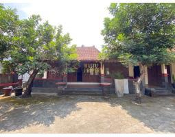 Jual Rumah Etnik Joglo Tanah Super Luas 750 m2 Di Tamanmartani, Kalasan - Sleman