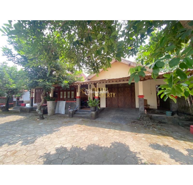 Jual Rumah Etnik Joglo Tanah Super Luas 750 m2 Di Tamanmartani, Kalasan - Sleman