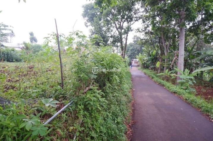 Dijual Tanah Kebun 30 Tumbak di Pakuhaji Cipageran - Cimahi