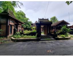 Dijual Rumah Besar Tanah Luas Setengah Harga Di Minggir - Sleman