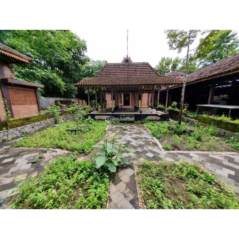 Dijual Rumah Besar Tanah Luas Setengah Harga Di Minggir - Sleman