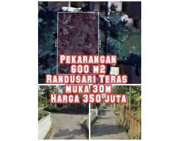 Dijual Tanah Pekarangan, Luas 600m2, SHM, Randusari, Teras - Boyolali 