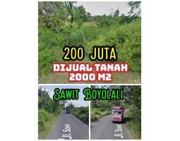 Dijual Tanah, Luas 2000m2, SHM, tepi Jalan Sawit Boyolali, Harga 200 Juta - Boyolali