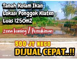 Dijual Tanah Zona Kuning 1250m2 Bagus untuk Kolam dan Hunian - Klaten