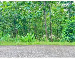 Dijual Tanah Kebun Jati  1517m - Karanganyar