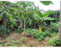 Dijual Tanah Harga Murah Lokasi Strategis Belakang RS Hermina - Depok