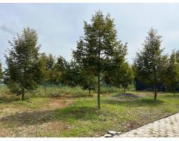 Dijual Tanah Kebun Durian Bonus Villa View Gunung Lawu - Karanganyar