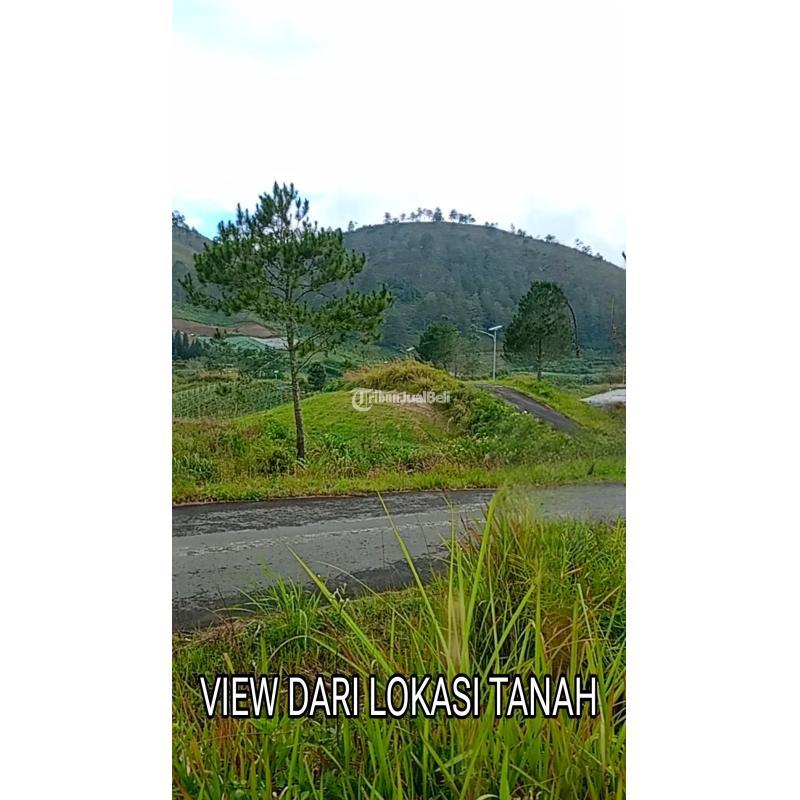 Dijual Tanah View Danau Toba dan Bukit Sipisopiso di Pinggir Jalan Aspal - Karo