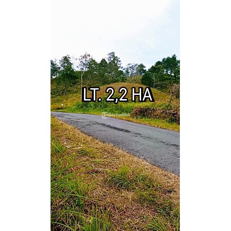 Dijual Tanah View Danau Toba dan Bukit Sipisopiso di Pinggir Jalan Aspal - Karo