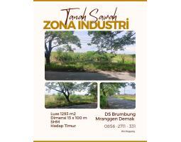 Dijual Tanah Luas Pinggir Jalan Raya Brumbung Mranggen Cocok Untuk Usaha dan Industri - Demak