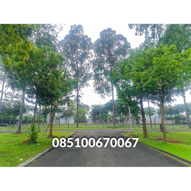 Dijual Cepat BU Rumah Suvarna Sutera Cluster Dhana Siap Huni Baru Renov - Tangerang