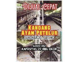 Dijual Tanah Kandang Ayam Petelur 6000m2 Harga 500rb per m2 - Sukoharjo 