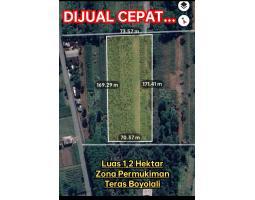 Dijual Tanah Pemukiman 1,2 Hektar Teras Boyolali 600 Ribu per m2 - Boyolali 