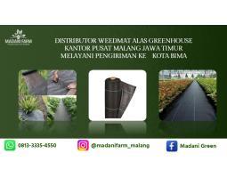 Pabrik Pusat Agen Grosir Weedmat - Kota Bima