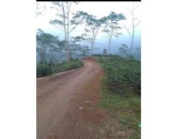 Dijual Tanah Kebun Produktif, Luas 2000M2, SHM, Pinggir Jalan, Dekat Dengan Pemukiman Penduduk Dan Tempat Umum Lainnya - Tasikmalaya