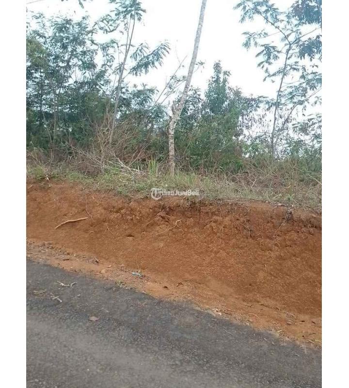 Dijual Tanah Kebun Produktif, Luas 2000M2, SHM, Pinggir Jalan, Dekat Dengan Pemukiman Penduduk Dan Tempat Umum Lainnya - Tasikmalaya