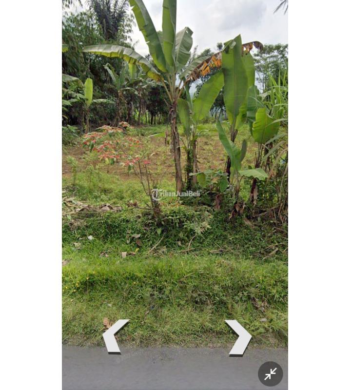 Jual Tanah Datar dan Strategis Pinggir Jalan Raya Kabupaten Luas 1120 m2 SHM Lokasi Strategis Pinggir Jalan Raya - Tasikmalaya