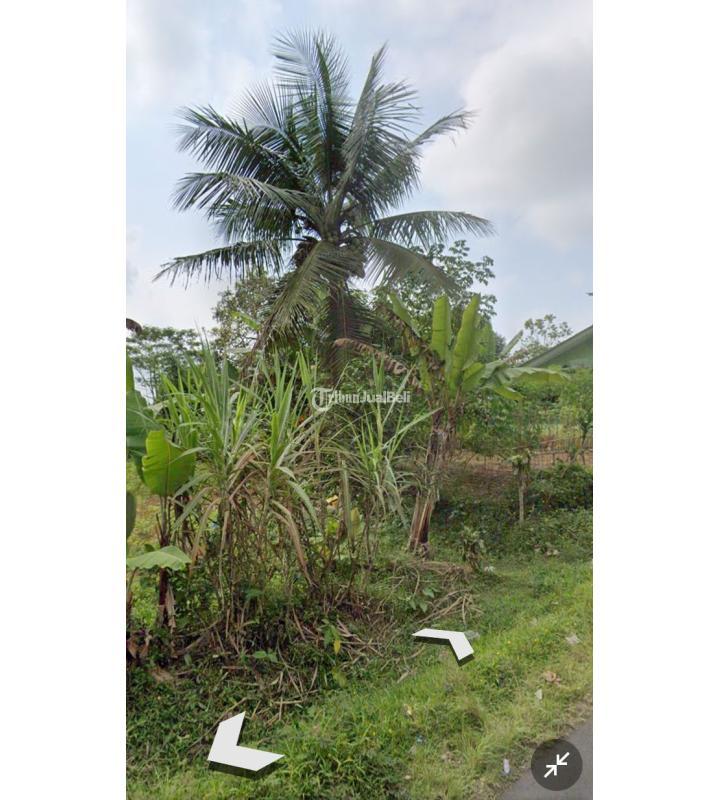 Jual Tanah Datar dan Strategis Pinggir Jalan Raya Kabupaten Luas 1120 m2 SHM Lokasi Strategis Pinggir Jalan Raya - Tasikmalaya