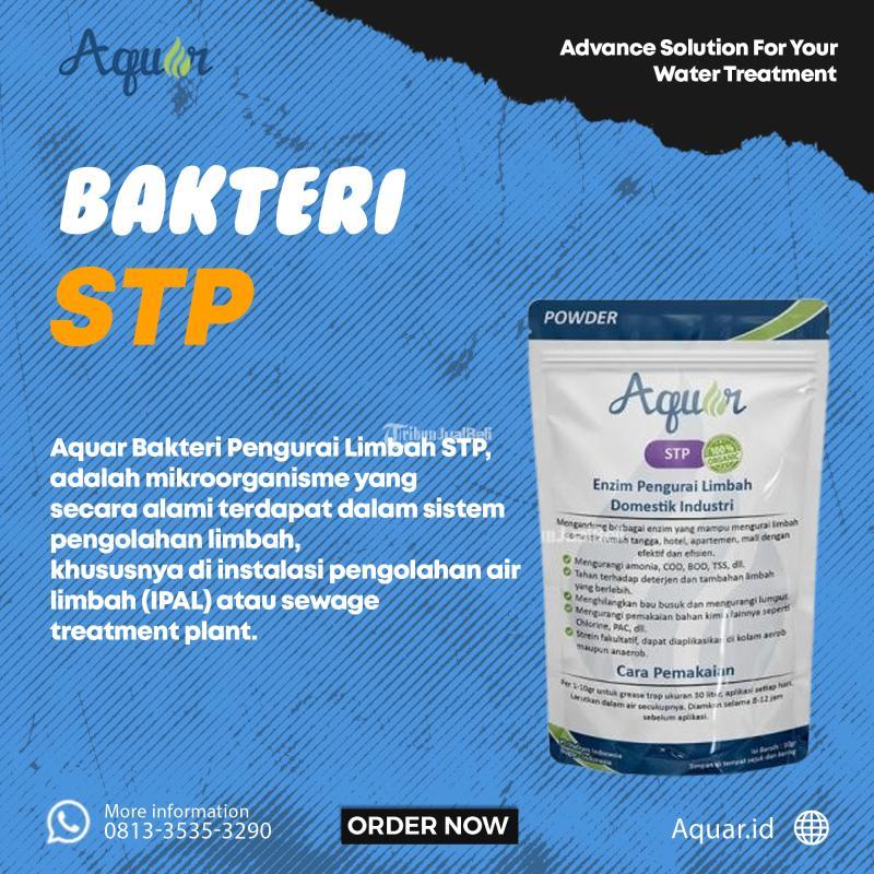 Aquar Bakteri Pengurai Limbah STP - Bogor