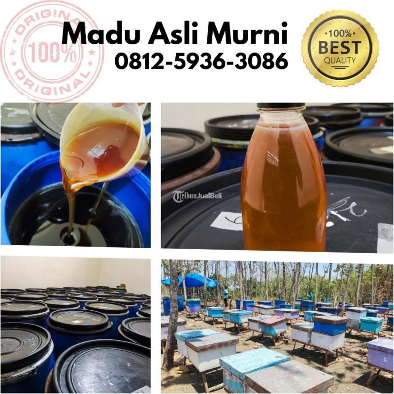 Grosir Madu Asli Murni, Madu Murah di Tanah Abang - Jakarta Pusat