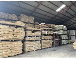 Green Coffee Beans For Sale Wholesale - Makassar
