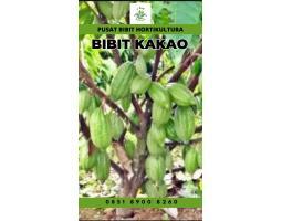TSEL Sentra Bibit Kakao Coklat - Bungo 