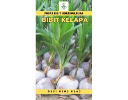 TSEL Sentra Bibit Kelapa Hibrida - Dairi 