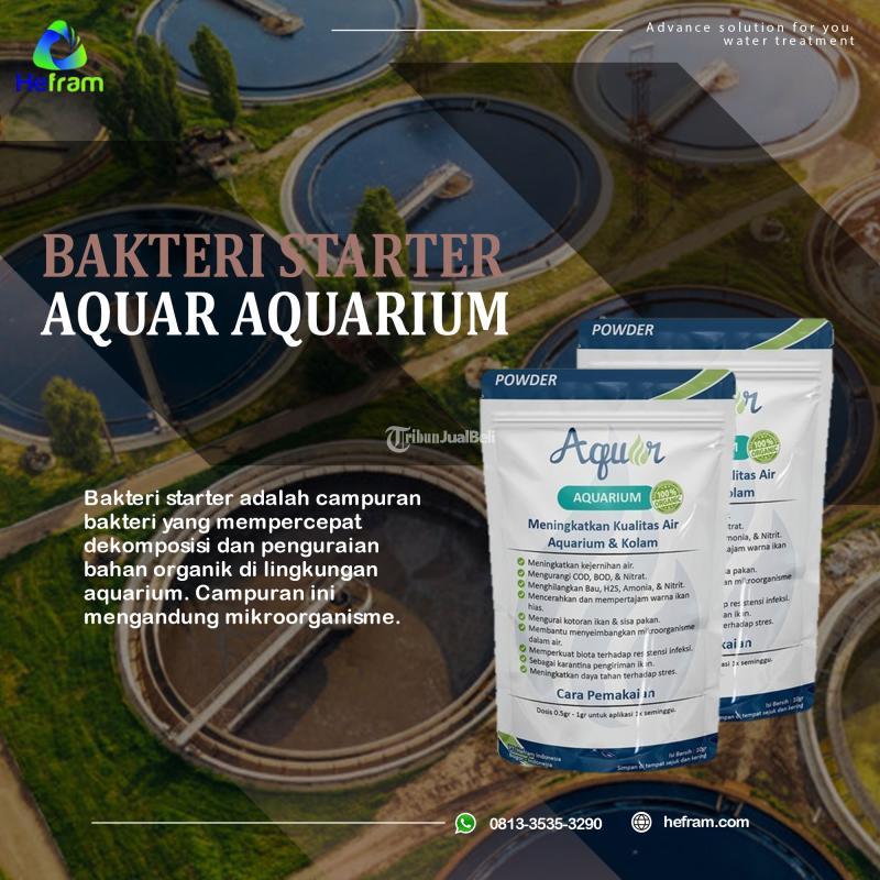 Supplier Bakteri Starter Aquar Aquarium 50gr - Bogor
