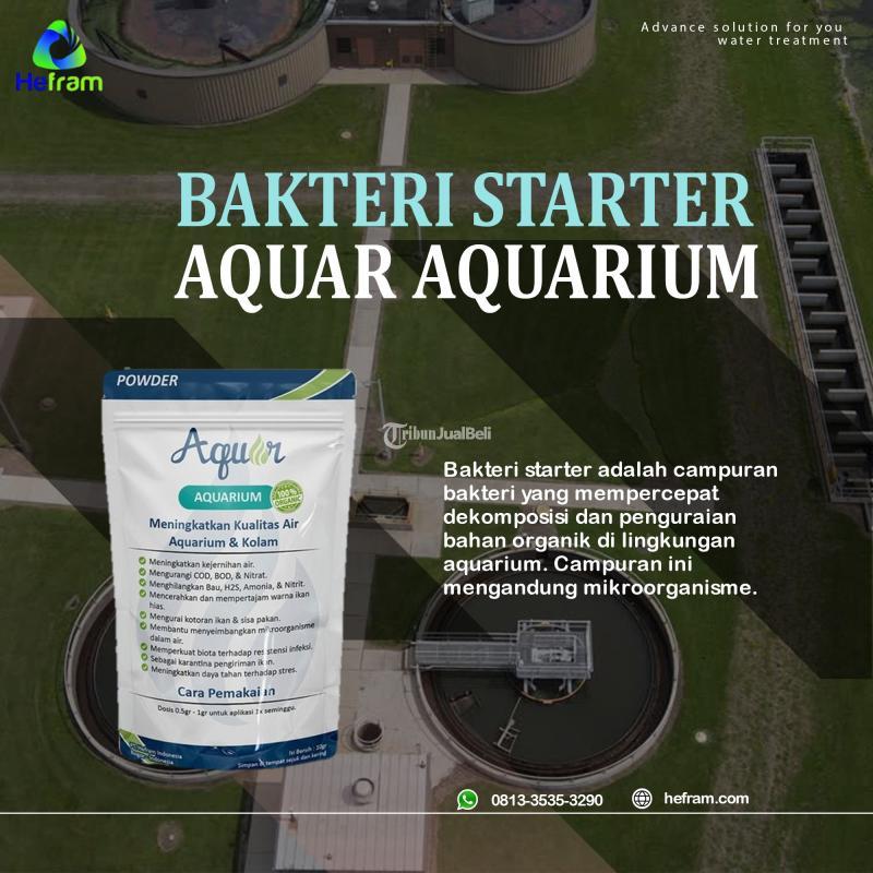 Supplier Bakteri Starter Aquar Aquarium 50gr - Bogor