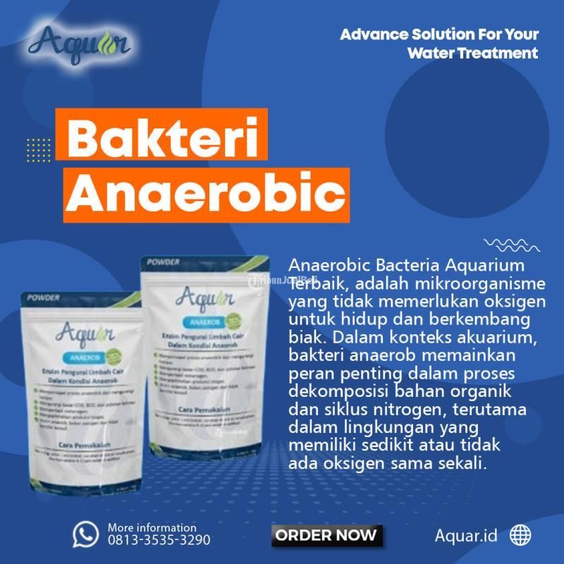 Anaerobic Bacteria Aquarium Terbaik - Bogor 