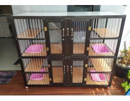 Kandang Kucing Alumunium Murah Terdekat - Bandar Lampung