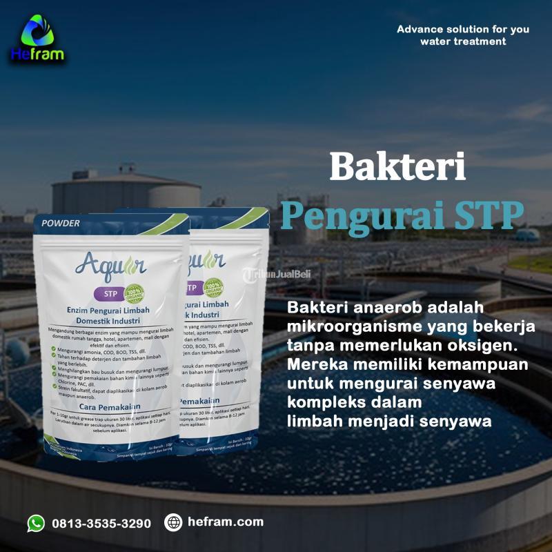 Bakteri Pengurai Limbah STP - Bogor