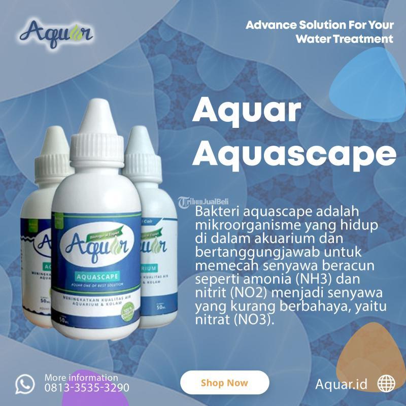 Cairan Bakteri Aquarium Aquascape - Bogor 