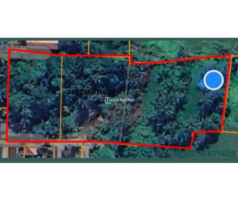 Dijual Tanah SHM 5500m2 Ubud Bali - Gianyar 