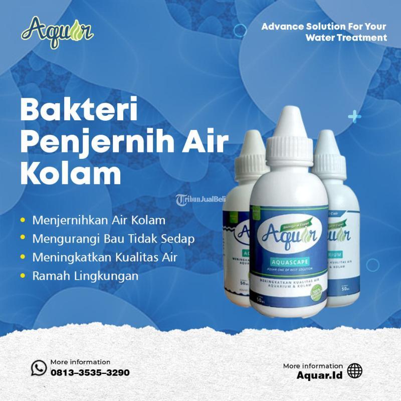 Filter Penjernih Air Aquarium Terbaik - Bogor
