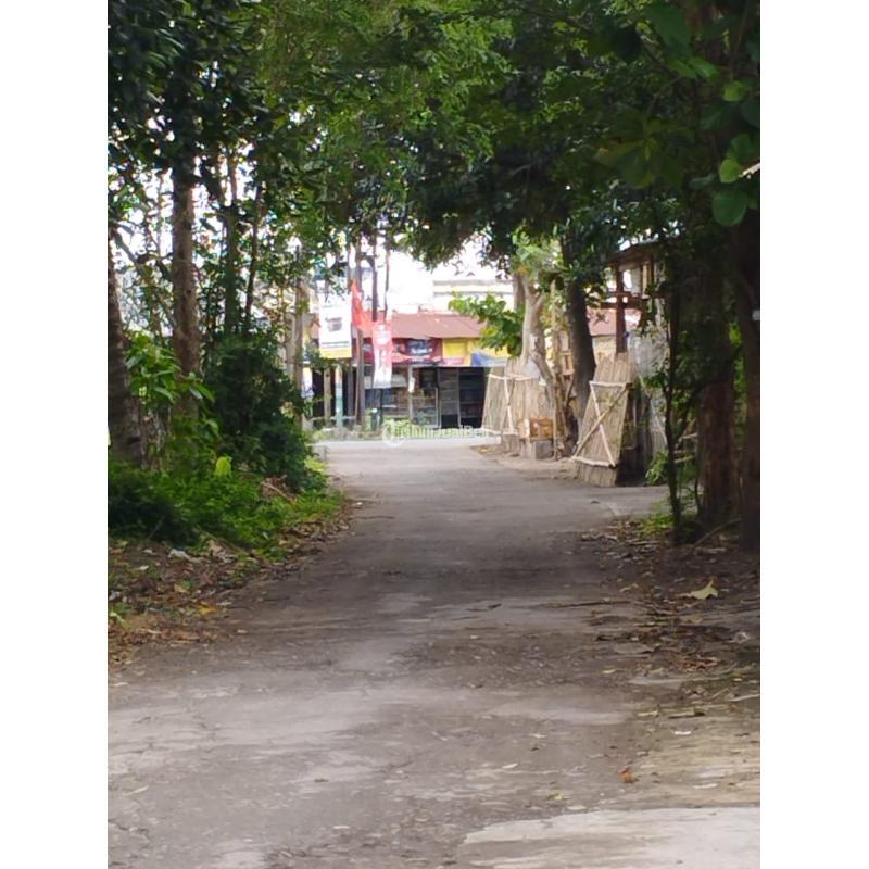 tjb blog
