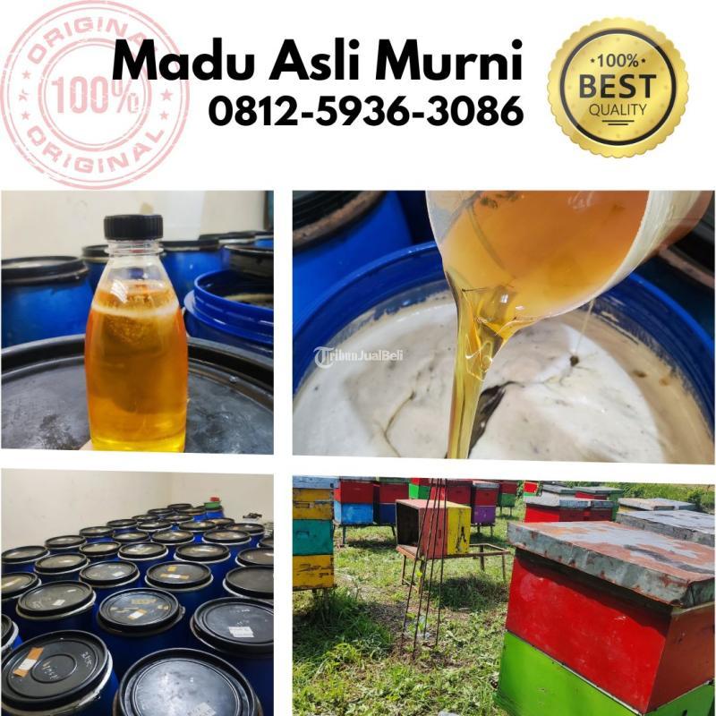 Grosir Madu Asli Harga Murah - Depok 