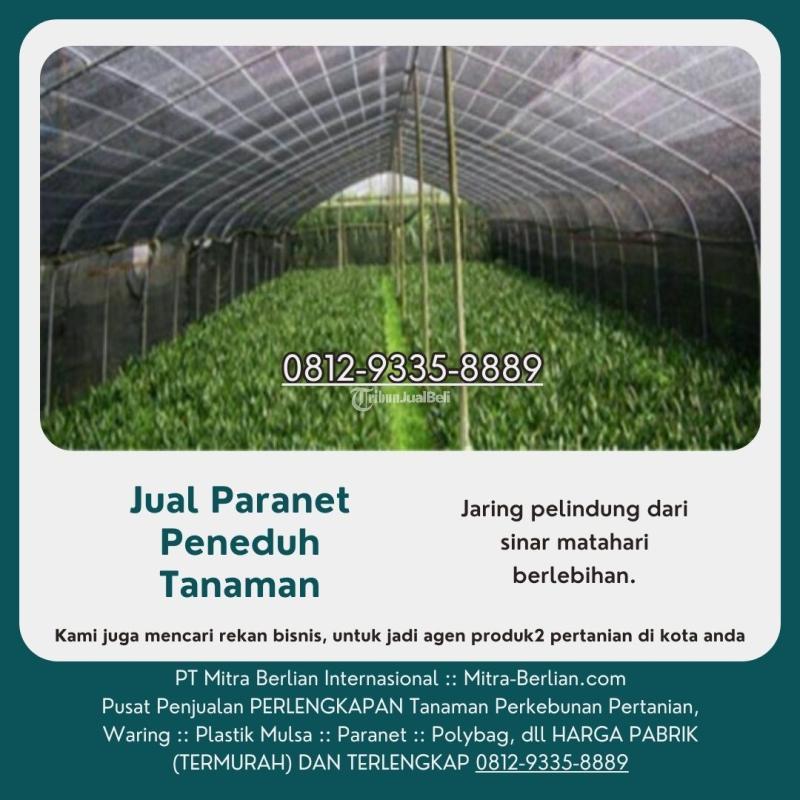 Supplier Paranet, Peneduh Tanaman Plastik - Jakarta Barat