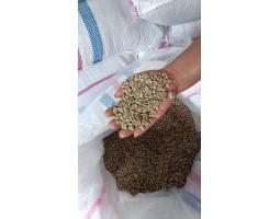 Best Coffee Bean Supplier Indonesia - Makassar