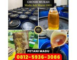 Agen Madu Asli - Jakarta Timur