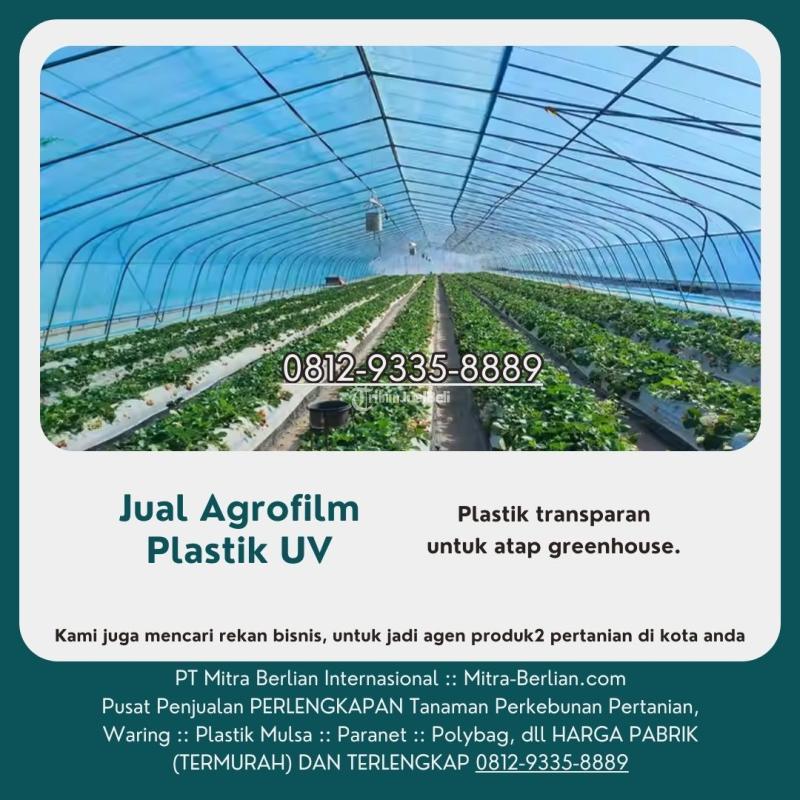 Agen Agrofilm Plastik UV - Surabaya