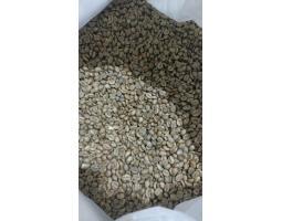 Green Coffee Beans Supplier in Indonesia - Makassar 